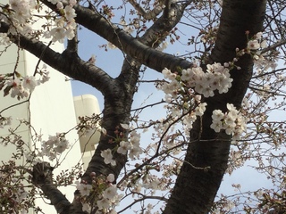 1E3032D8-73B9-438F-AE99-BF206AF58973.jpeg